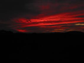 IMG_1346.JPG